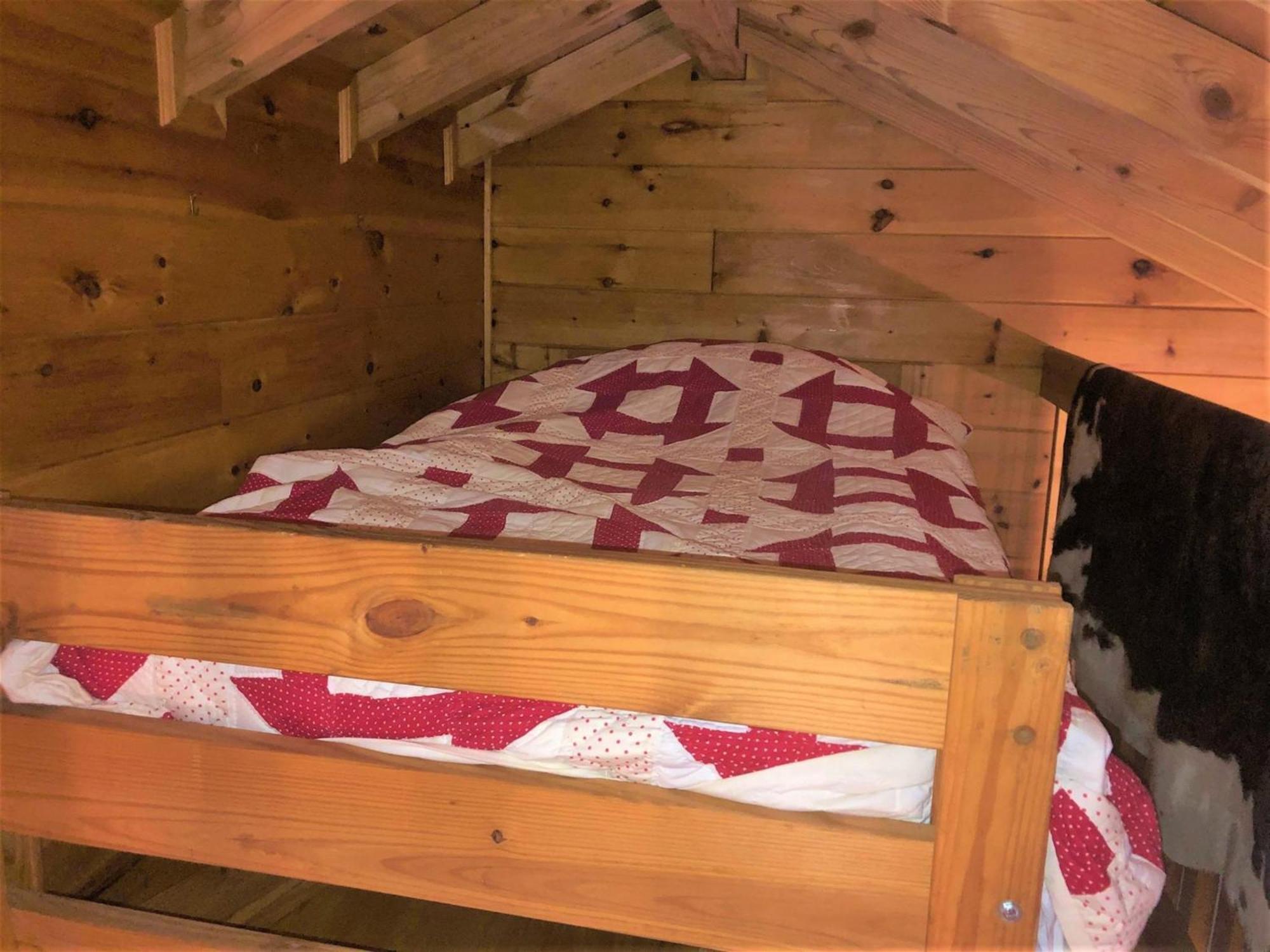 Little Bushy Head- Blue Ridge Villa Екстериор снимка