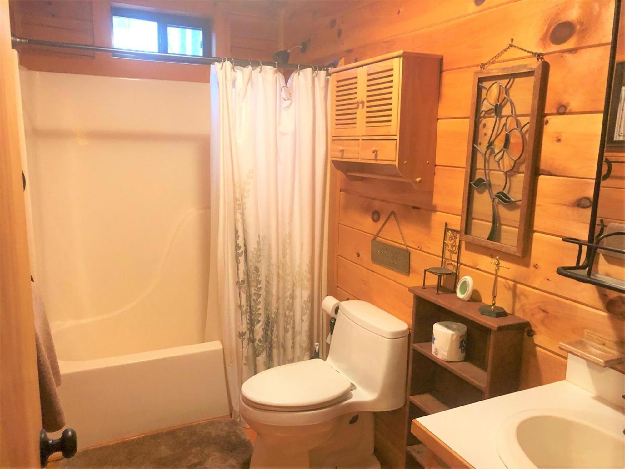 Little Bushy Head- Blue Ridge Villa Екстериор снимка